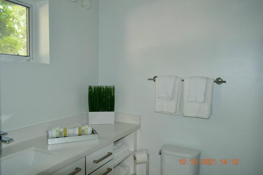 Across The Ocean Few Steps To Beach Contemporary Three Bedroom Townhouse Pompano Beach Exteriér fotografie